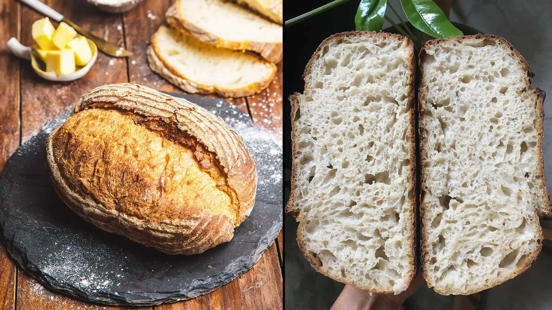 How Sourdough Changed the Renewal Game?